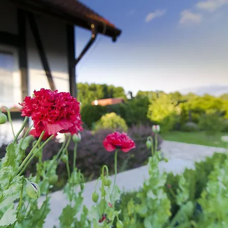 Dom Nad Jeziorem Beldany Ferienhaus *